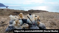 Собранный волонтерами на побережье Судака мазут с российских танкеров, потерпевших крушение в Керченском проливе 15 декабря 2024 года