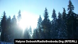 Зимові Карпати чекають туристів