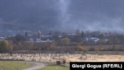 პანკისის ხეობა