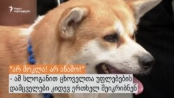 თბილისში ცხოველთა უფლებების დამცველებმა აქცია გამართეს