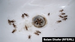 Илустрација.