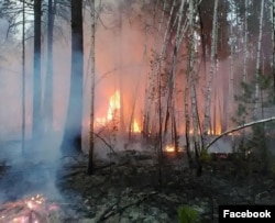Пожары в Бурятии, 2017
