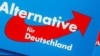 "Альтернатива для Германии" провела так называемый "Российский конгресс"