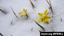 Снег в Симферополе, 23 марта 2021 года