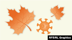 Rritja e rasteve me COVID-19 në tetor
