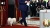 teaser Lukashenko's dog Umka 