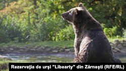 Rezervat 'Liberty' u Rumuniji