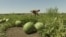 Ukraine - drones hit watermelon fields in Kherson region - screen grab