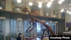 Dinosaurus u muzeju u Uzbekistanu