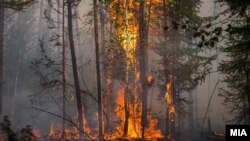 Огромен пожар од попладнево пустоши во Ранковце, има изгорени и куќи.