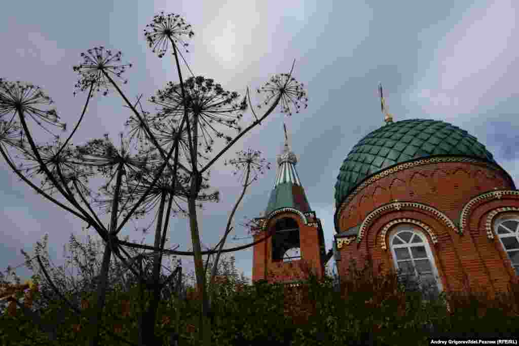 Эти места изобилуют борщевиком.&nbsp;