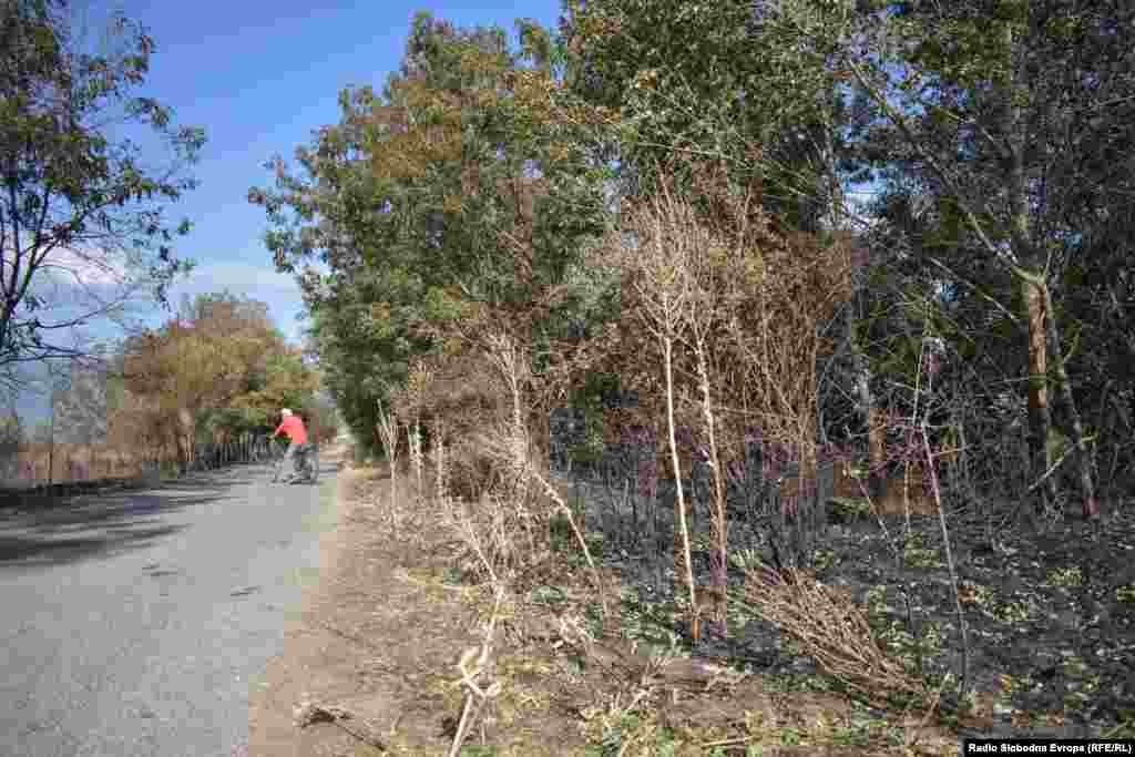 Posljedice požara na obali jezera u Donjem Perovu i Ezeranima.