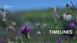 Вторая неделя октября