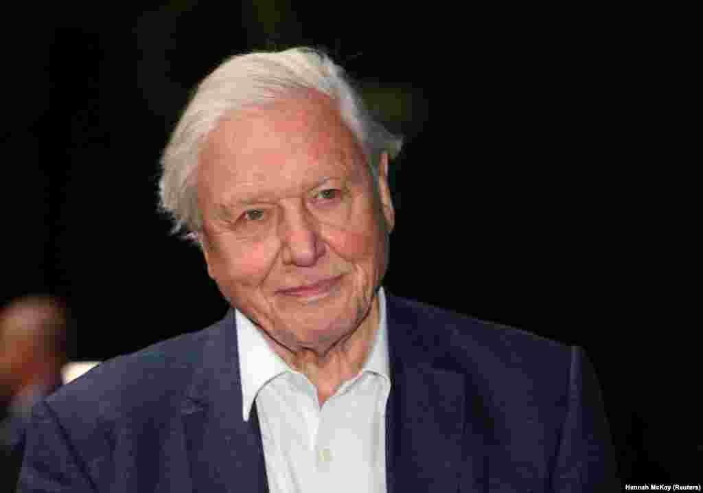 Természettudós, dokumentumfilmes, az ismeretterjesztő televízióműsorok egyik úttörője. Legújabb filmje 2020-ban jelent meg Egy élet a bolygónkon címmel. Sir David Attenborough munkáját 2009-ben ismerték el a díjjal társadalomtudomány kategóriában.