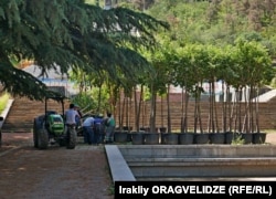 ახალი ნერგები