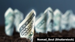 Joseph Glauber, az Egyesült Államok Mezőgazdasági Minisztériumának korábbi vezető közgazdásza szerint Amerikán kívül az erős dollár a felelős azért, hogy egyes piacokon nem érezhető az alapanyagok árának csökkenése