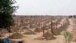 Гробови во Туркменистан во кои се верува дека се погребани жртви од ковид-19