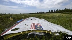 Deo olupine malezijskog aviona MH17