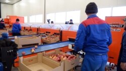 Торгово-логистический центр «Агропродукт Азия».