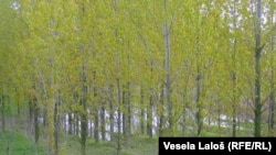 Maglai: "Naknadu za odvodnjavanje plaćaju i građani u sredinama u kojima postoji kanalizacija i vlasnici poljoprivrednih zemljišta kod kojih se ne može nakupiti voda“