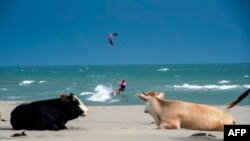 Plaža u blizini Ulcinja, ilustrativna fotografija