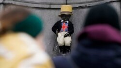 Един от символите на Брюксел - Манекен пис, облечен в британския си костюм в навечерието на Брекзит