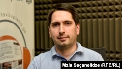 დავით ზედელაშვილი, კონსტიტუციონალისტი