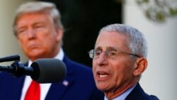 Ентони Фаучи на прес конференција со претседателот на САД Доналд Трамп