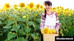 უკრაინა აწარმოებს მსოფლიოში გაყიდული მზესუმზირის ზეთის მნიშვნელოვან ნაწილს