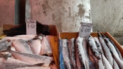 რუსთავი, 18 მარტი