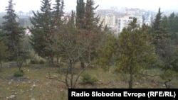 Национален парк Галичица.