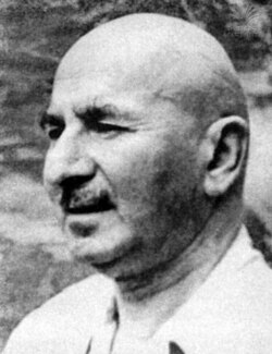 აკადემიკოსი ნიკო კეცხოველი