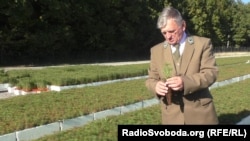 У лісгоспі Великого Лісника вирощують заміну вирубаним для промисловості соснам