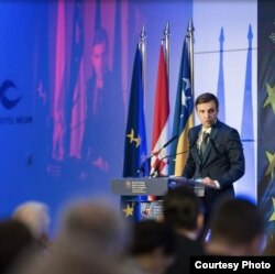 Ivan Ćubela, politolog