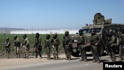 Összecsapások voltak a kaliforniai kannabiszültetvényeken folyó bevándorlási razziák során