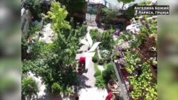 „Поздрав од мојот прозорец“