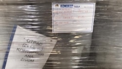 Živa na kućnom pragu