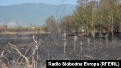 Posljedice požara na obali Prespanskog jezera u Donjem Perovu i Ezeranima, juli 2025.