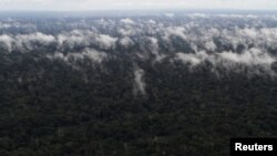 Amazon u blizini brazilskog grada Santarema, arhivska fotografija