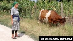 Oamenii în vârstă spun că nu mai au puteri să îngrijească animale, iar tinerii nu mai vor să se ocupe de asta