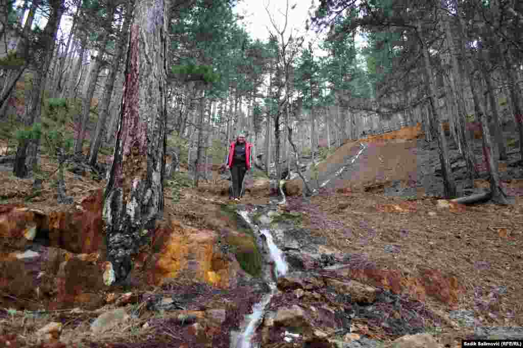 Srebrenica je poznata po 38 ljekovitih voda Crnog Gubera, od kojih se najviše eksploatiše izvor Velikog Gubera. On se koristi kod liječenja malokrvnosti, jer sadrži 100 mililitara gvožđa na jedan litar. Ova voda služi i za liječenje reumatskih oboljenja