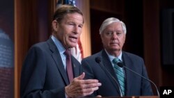 ამერიკელი სენატორები რიჩარდ ბლუმენტალი(მარცხნივ) და ლინდსი გრემი