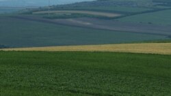 Cum se recuperează turismul după COVID?