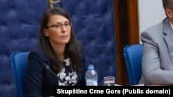 Direktorica MANS-a Vanja Ćalović Marković u Skupštini Crne Gore, 18. april 2025.