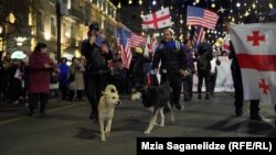 მიუსაფარი ძაღლები რუსთაველის გამზირზე პროევროპული საპროტესტო მსვლელობისას