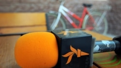 Interviul matinal cu Mihai Mogîldea (IPRE) despre diaspora