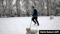 Egy férfi sétál a kutyájával egy teheráni parkban 2018. január 28-án