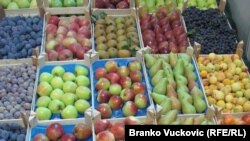 Ruska služba za fitosanitarni nadzor utvrdila da su plodovi zaraženi monilinijom, ilustrativna fotografija