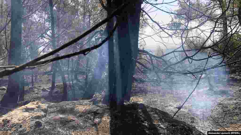 Dan nakon požara na brdu je garež i dim. Zbog sumnje da je požar podmetnut nadležni su podnijeli krivičnu prijavu protiv NN lica.