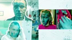 Нападения на Алексея Навального, Елену Милашину и Нуцу Махарадзе (коллаж)